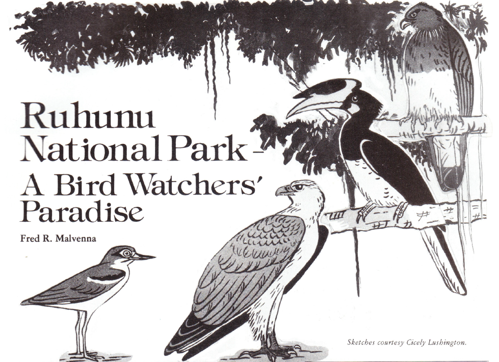 Ruhunu National Park: A Bird Watchers' Paradise - Explore Sri Lanka