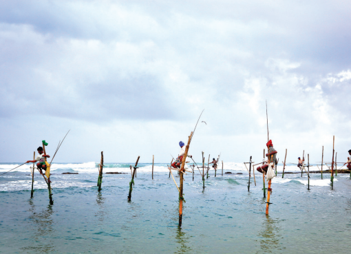 Stilt fishermen at Koggala.