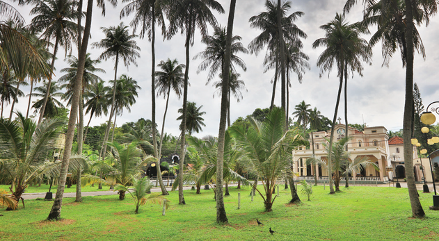 Located amidst the tranquil hamlet of indigolla in Gampaha. St Jude's Shrine is a beacon of hope of the distraught and faithful.